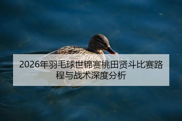 2026年羽毛球世锦赛桃田贤斗比赛路程与战术深度分析