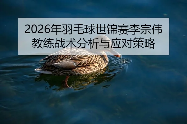 2026年羽毛球世锦赛李宗伟教练战术分析与应对策略