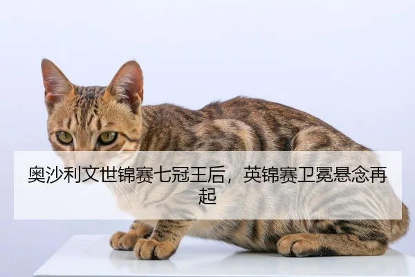 奥沙利文世锦赛七冠王后，英锦赛卫冕悬念再起
