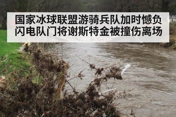 国家冰球联盟游骑兵队加时憾负闪电队门将谢斯特金被撞伤离场
